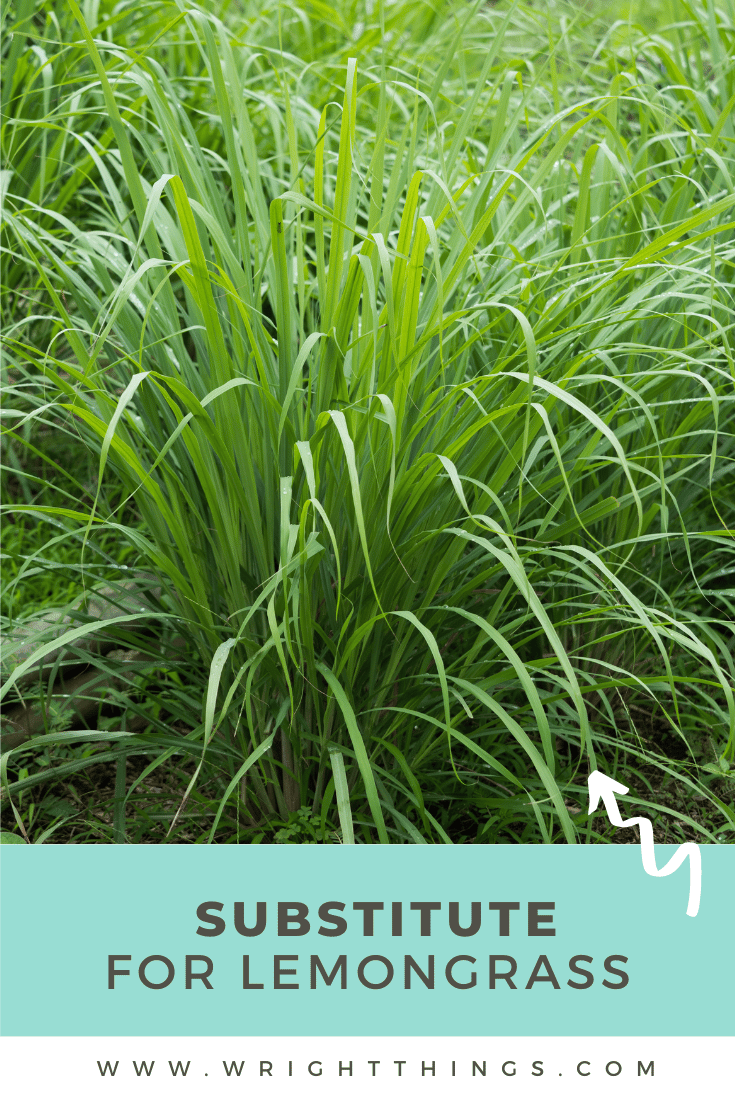 Substitute for Lemongrass Wright Things